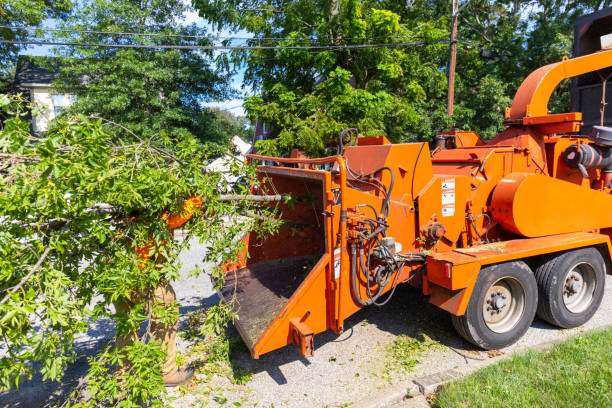 Best Residential Tree Removal  in Melbourne, AR